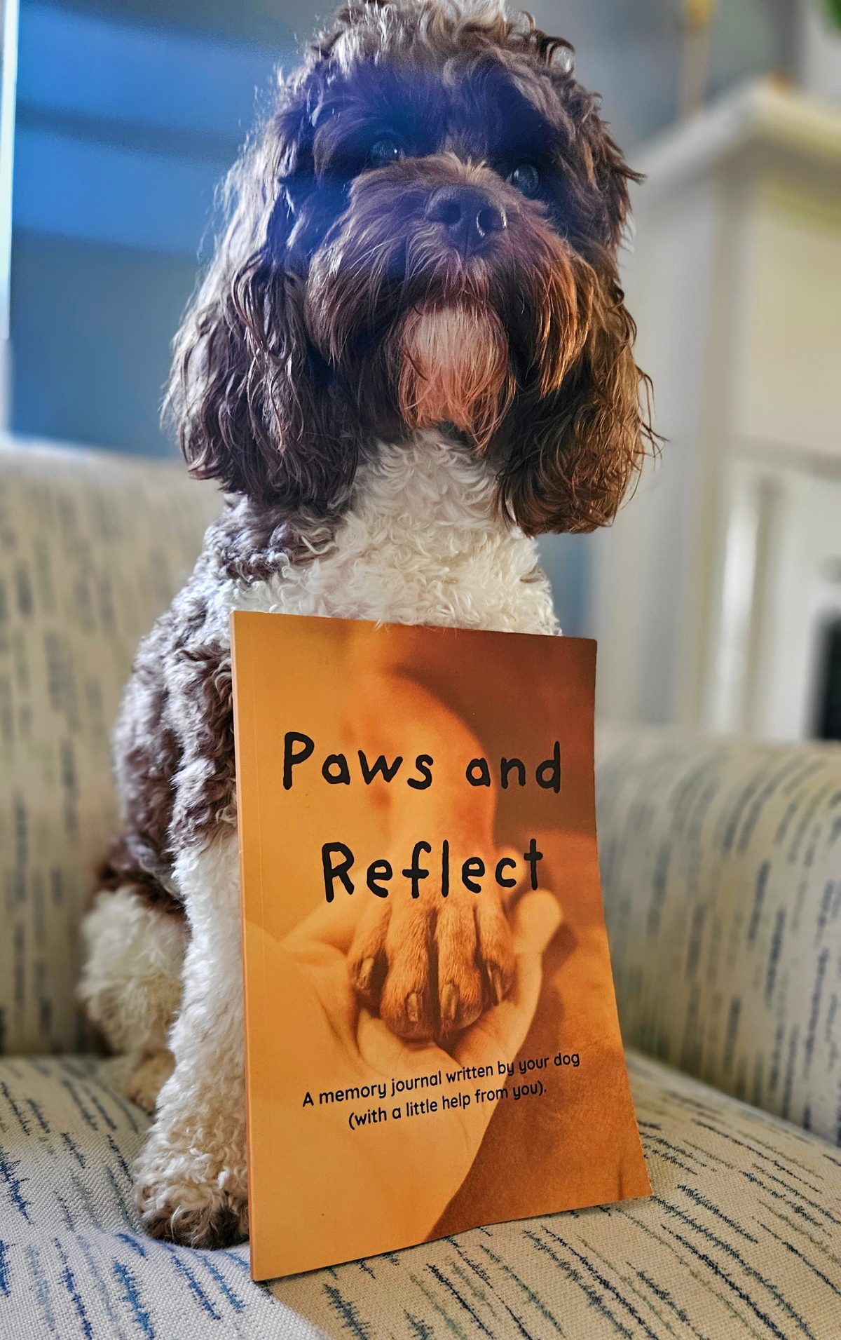 Baxter Wrote a Book!